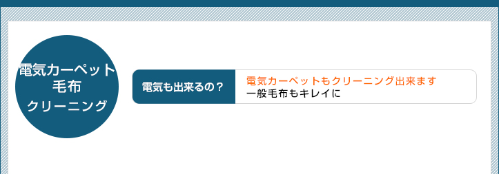 電気カーペットがまるまるクリーニングで出来る